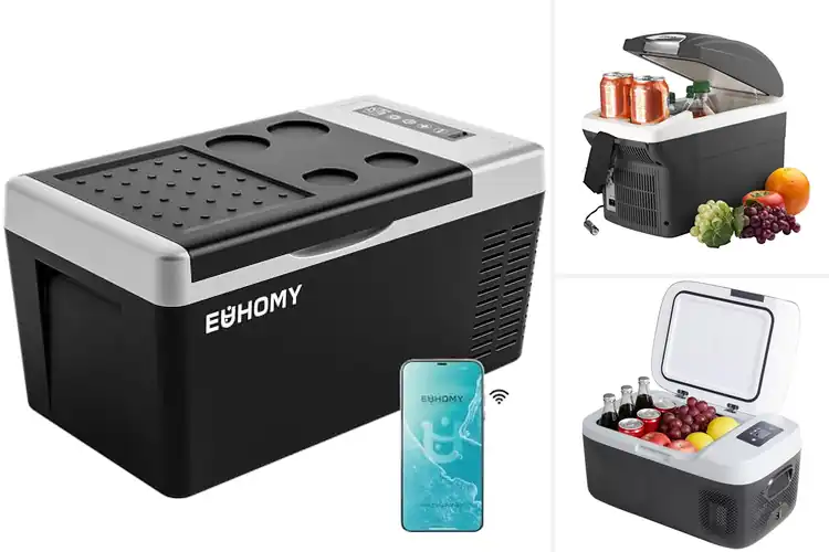 Detailed view of Best Travel Car Refrigerators