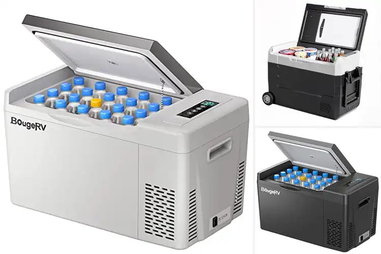 Detailed view of Best Vehicle Portable Freezers: Top 10 for Fresh Adventures