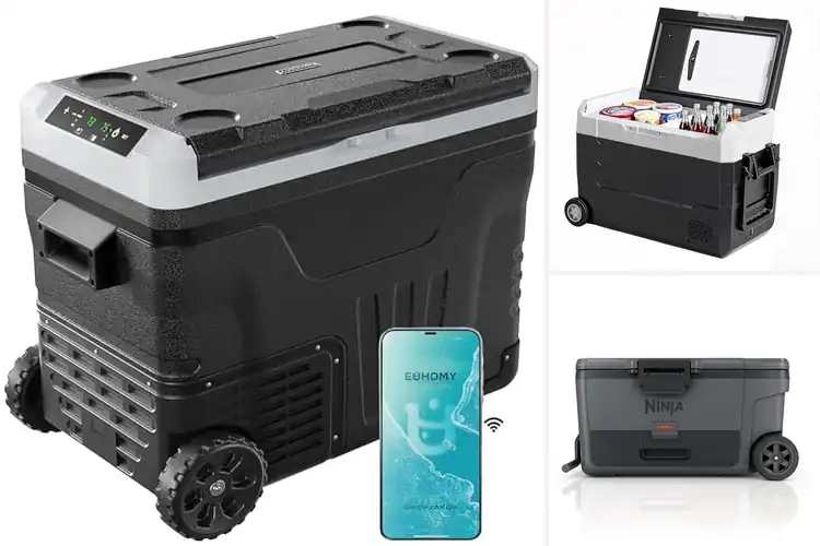 Detailed view of Best Wheeled Refrigerator Coolers