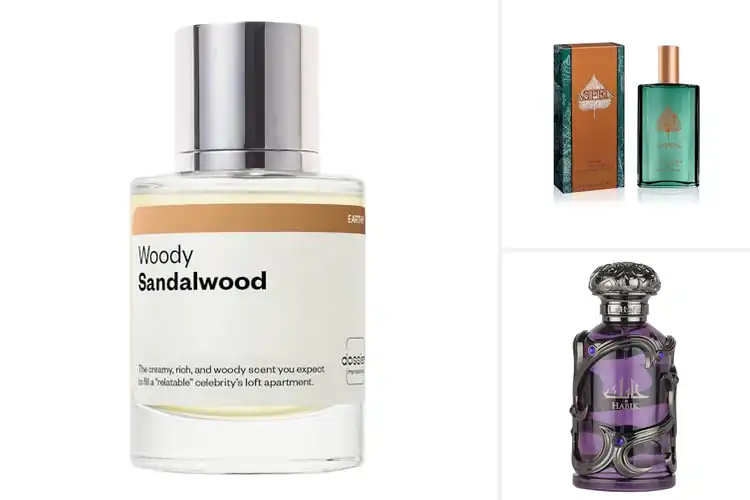 Detailed view of Best Woody Fragrances for an Irresistible Signature Scent